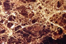 Emperador Dark marble sample