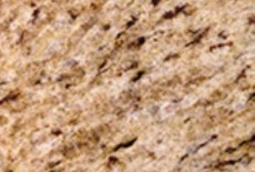Giallo Ornamental Light granite sample